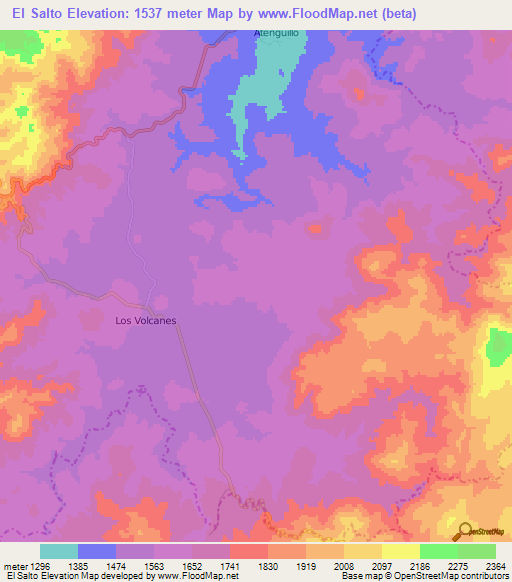 El Salto,Mexico Elevation Map