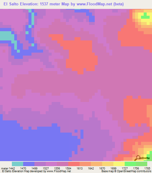 El Salto,Mexico Elevation Map