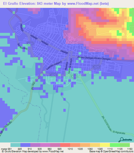 El Grullo,Mexico Elevation Map