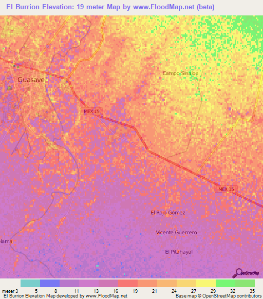 El Burrion,Mexico Elevation Map