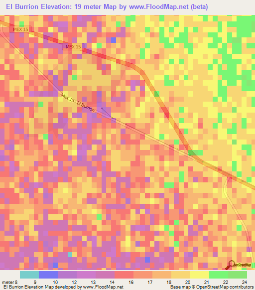 El Burrion,Mexico Elevation Map