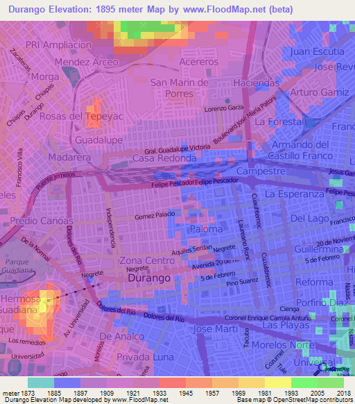 Durango,Mexico Elevation Map