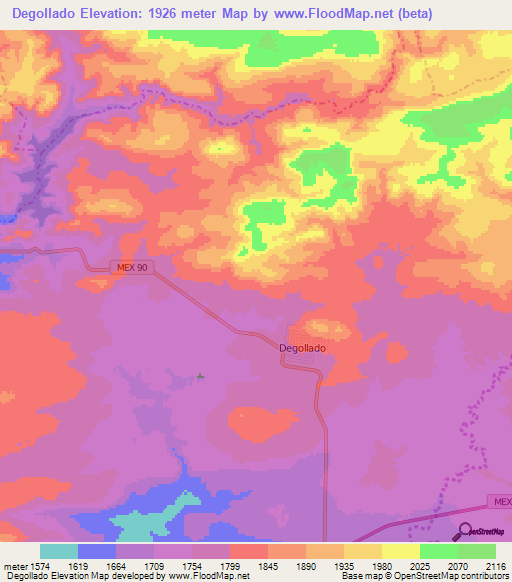 Degollado,Mexico Elevation Map