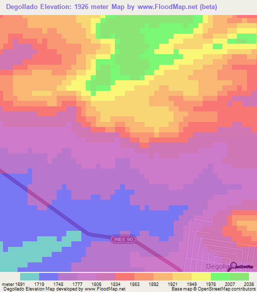 Degollado,Mexico Elevation Map