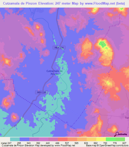 Cutzamala de Pinzon,Mexico Elevation Map