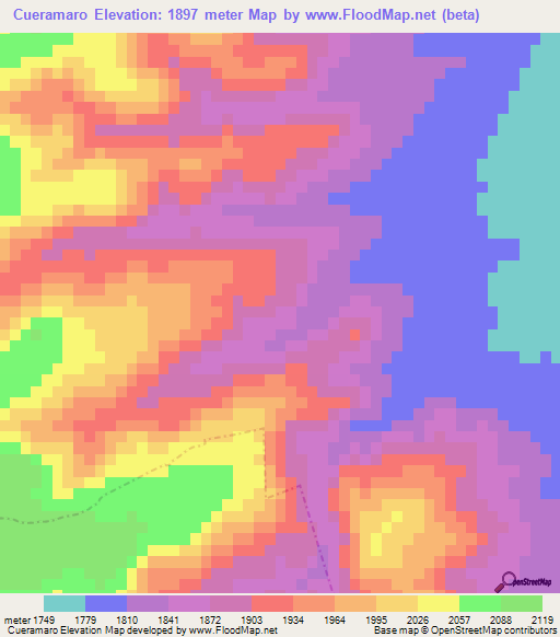 Cueramaro,Mexico Elevation Map