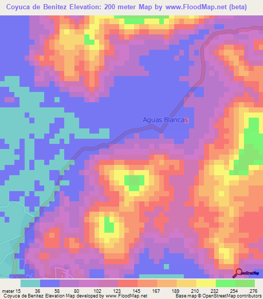 Coyuca de Benitez,Mexico Elevation Map