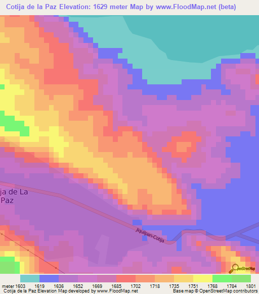 Cotija de la Paz,Mexico Elevation Map