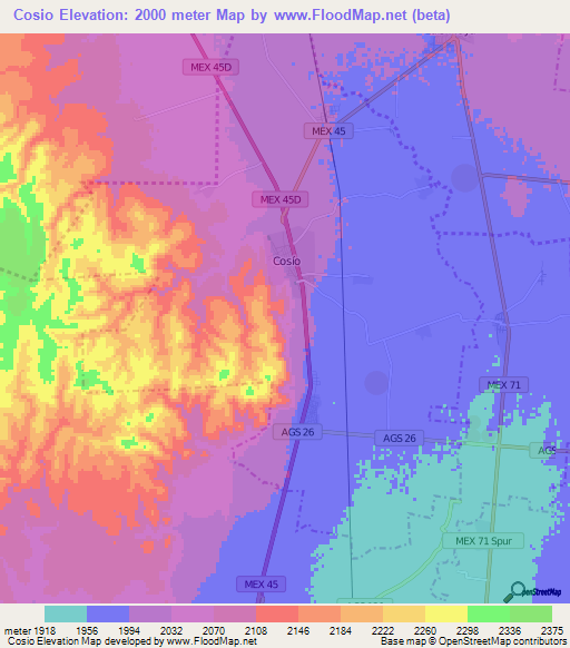 Cosio,Mexico Elevation Map