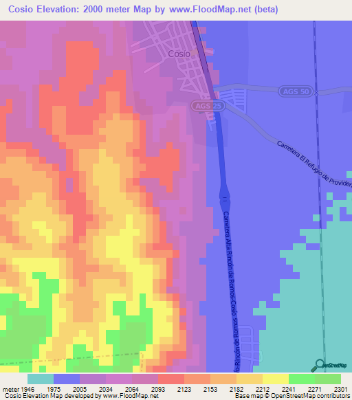 Cosio,Mexico Elevation Map