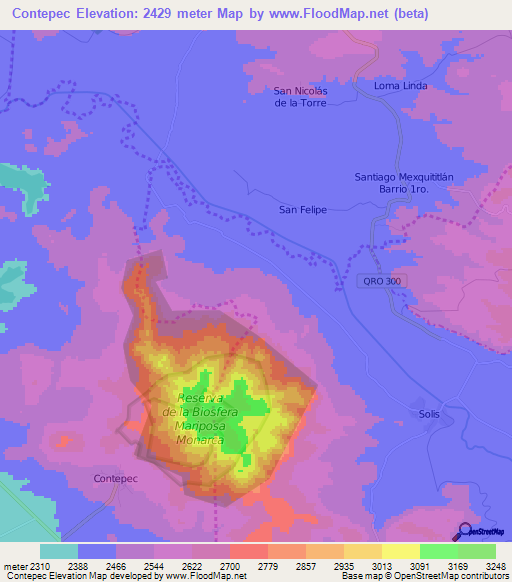 Contepec,Mexico Elevation Map