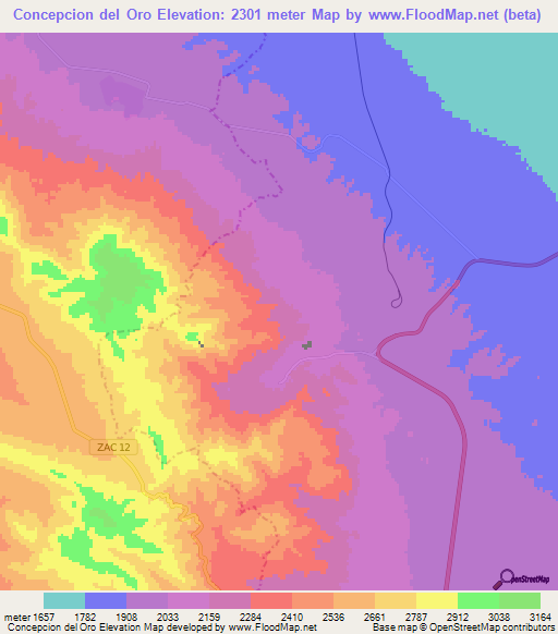 Concepcion del Oro,Mexico Elevation Map