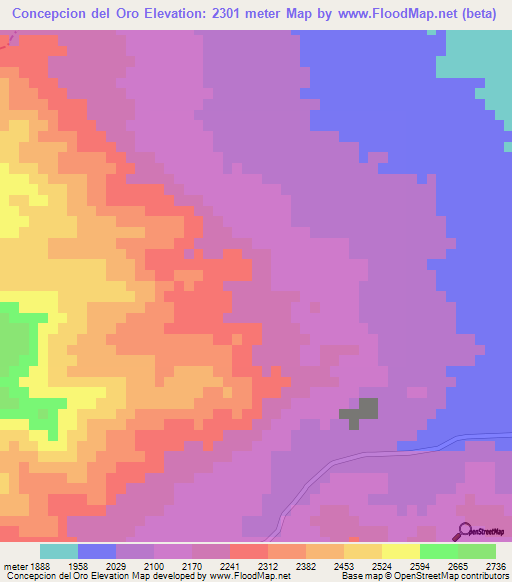 Concepcion del Oro,Mexico Elevation Map