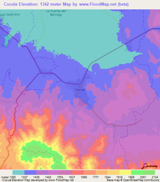 Cocula,Mexico Elevation Map