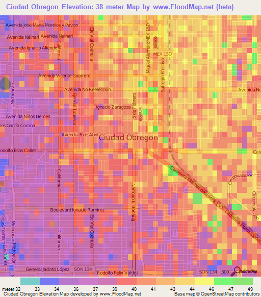 Ciudad Obregon,Mexico Elevation Map