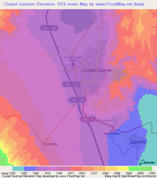 Ciudad Guzman,Mexico Elevation Map