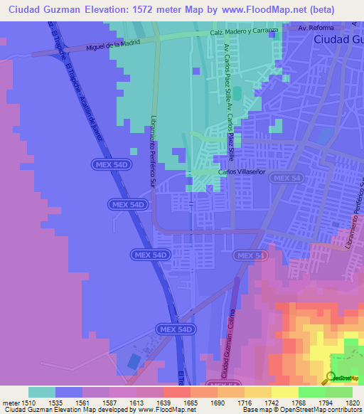 Ciudad Guzman,Mexico Elevation Map