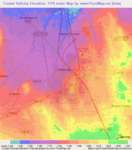 Ciudad Delicias,Mexico Elevation Map