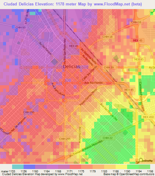 Ciudad Delicias,Mexico Elevation Map