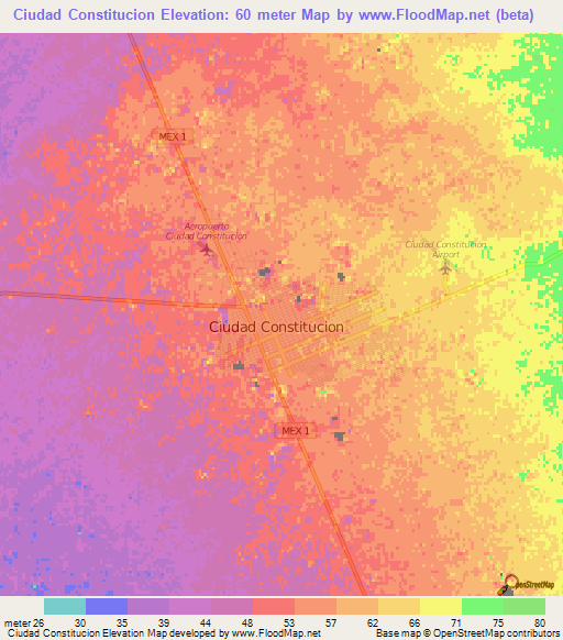 Ciudad Constitucion,Mexico Elevation Map