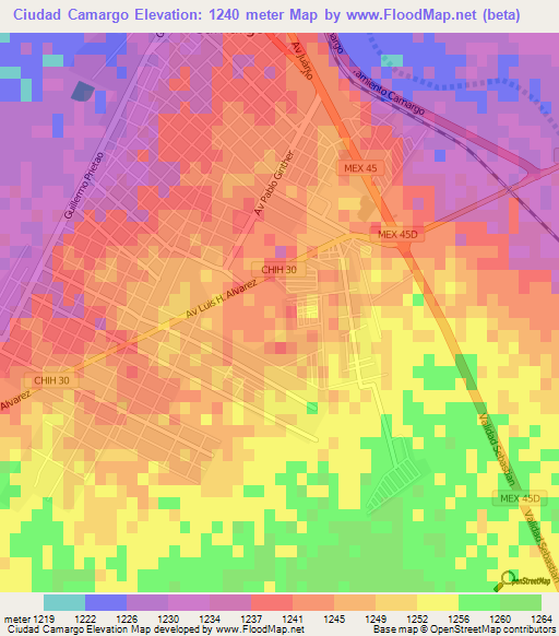 Ciudad Camargo,Mexico Elevation Map