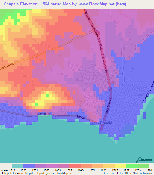 Chapala,Mexico Elevation Map