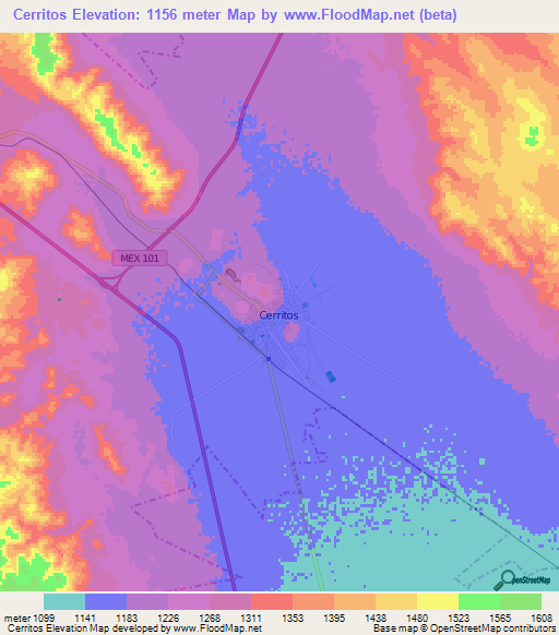 Cerritos,Mexico Elevation Map