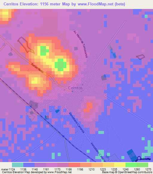 Cerritos,Mexico Elevation Map