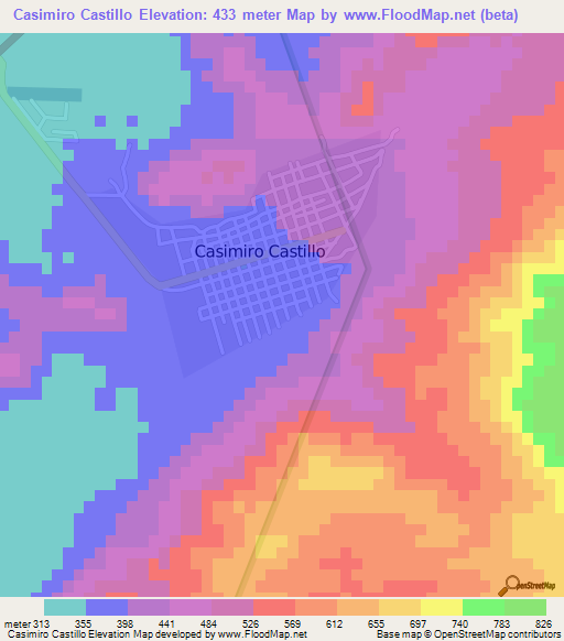 Casimiro Castillo,Mexico Elevation Map