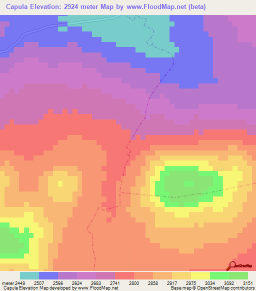 Capula,Mexico Elevation Map