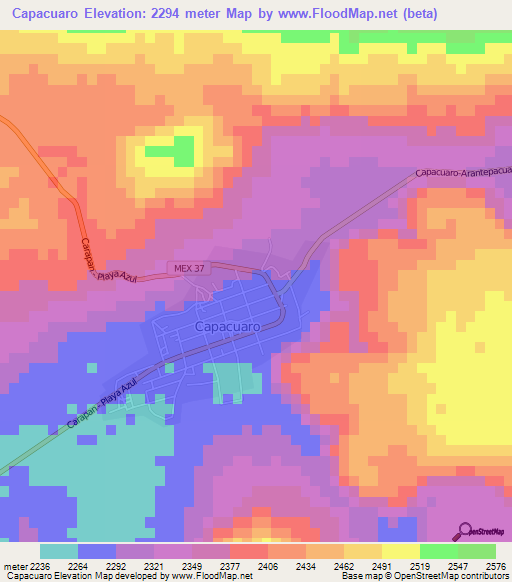 Capacuaro,Mexico Elevation Map