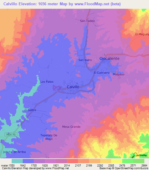 Calvillo,Mexico Elevation Map