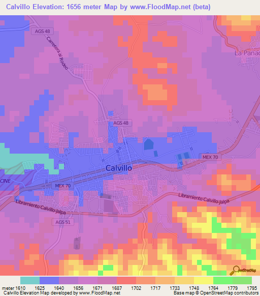 Calvillo,Mexico Elevation Map