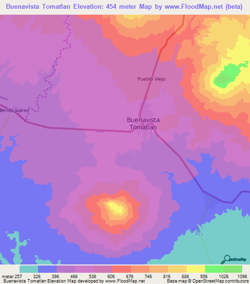 Buenavista Tomatlan,Mexico Elevation Map