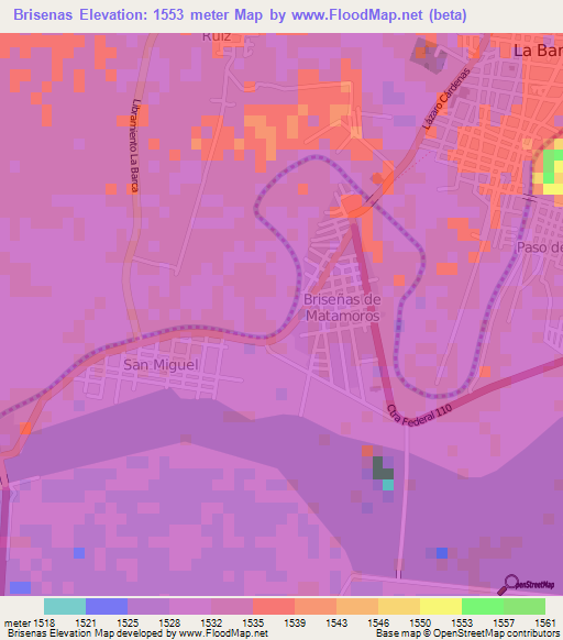 Brisenas,Mexico Elevation Map