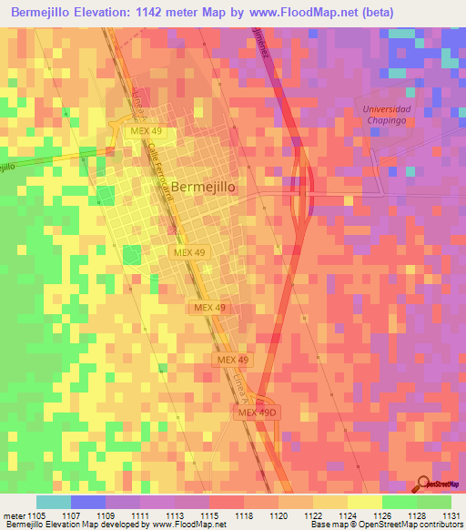 Bermejillo,Mexico Elevation Map