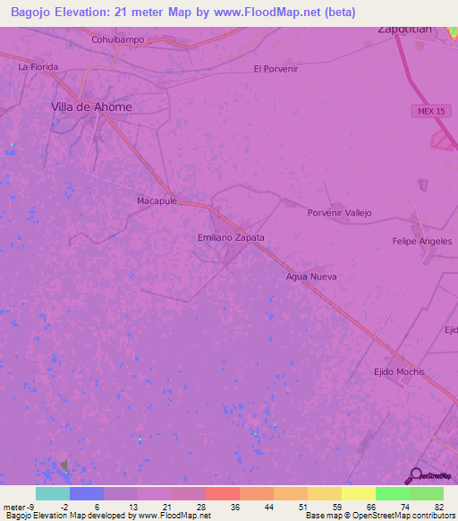 Bagojo,Mexico Elevation Map