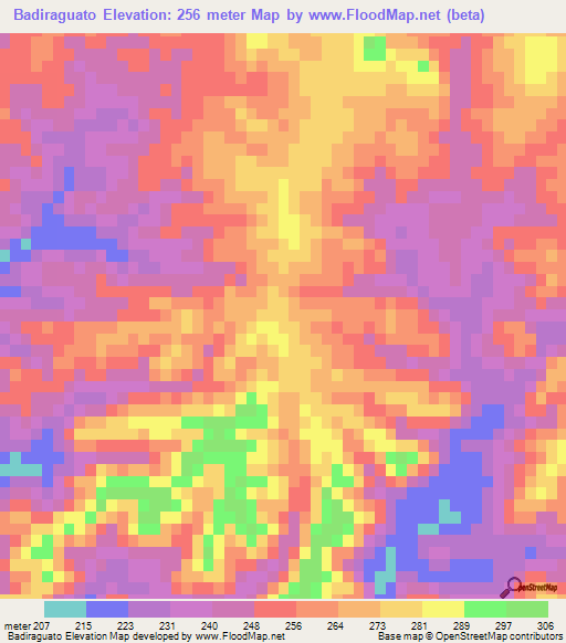 Badiraguato,Mexico Elevation Map