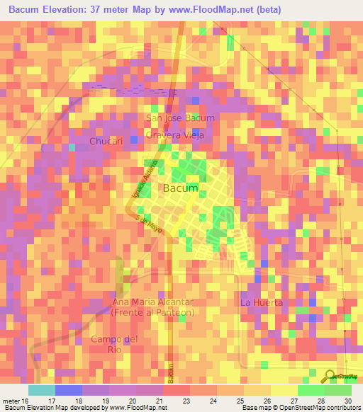 Bacum,Mexico Elevation Map