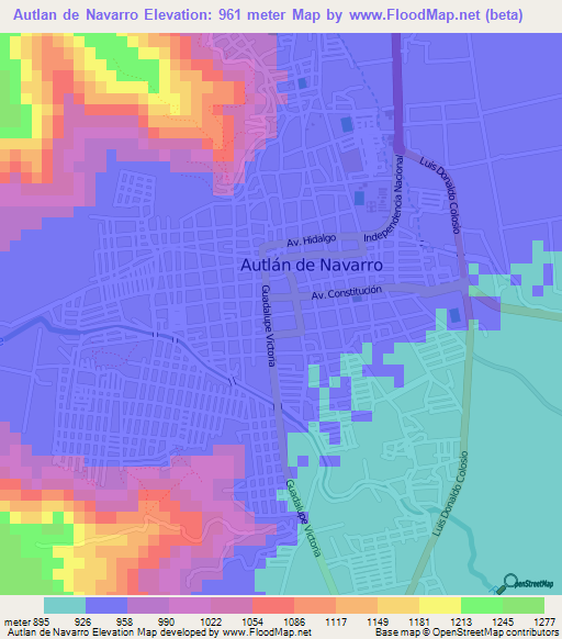 Autlan de Navarro,Mexico Elevation Map