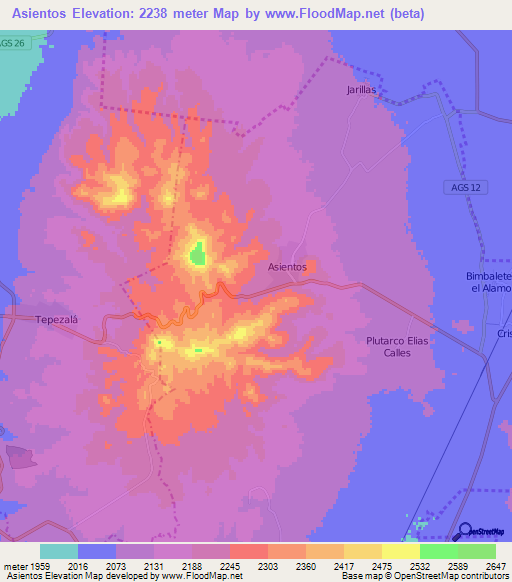 Asientos,Mexico Elevation Map