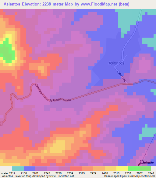 Asientos,Mexico Elevation Map