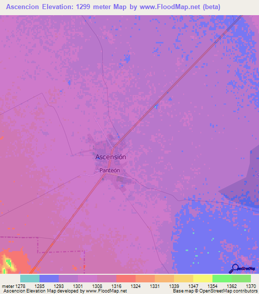 Ascencion,Mexico Elevation Map