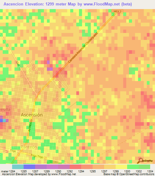 Ascencion,Mexico Elevation Map