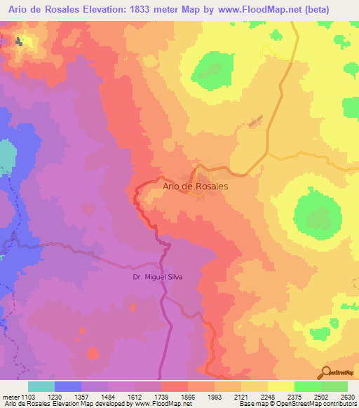 Ario de Rosales,Mexico Elevation Map