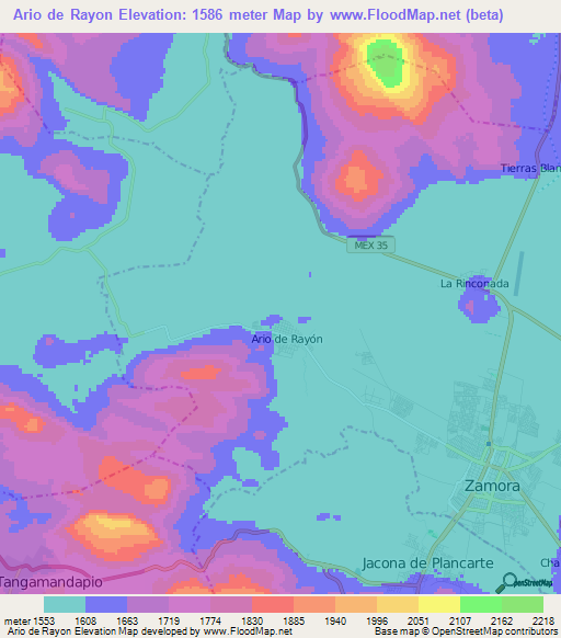 Ario de Rayon,Mexico Elevation Map