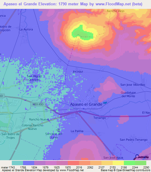 Apaseo el Grande,Mexico Elevation Map