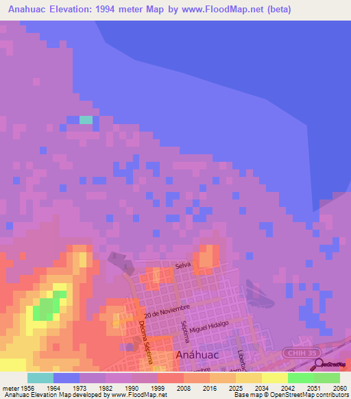 Anahuac,Mexico Elevation Map