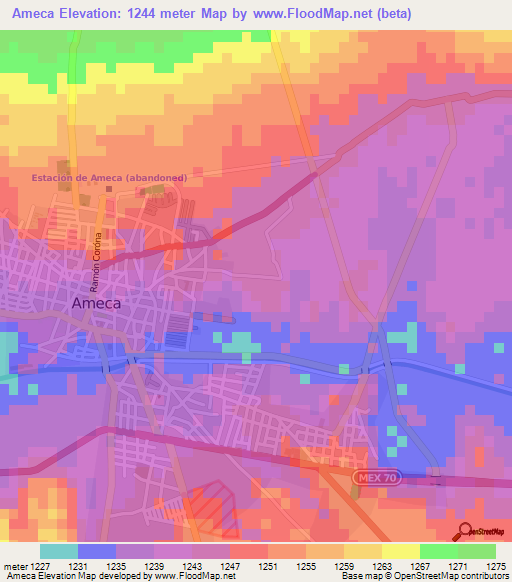 Ameca,Mexico Elevation Map