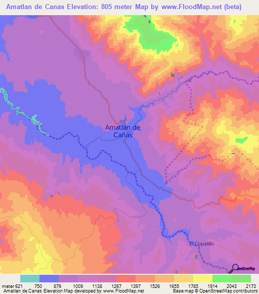 Amatlan de Canas,Mexico Elevation Map